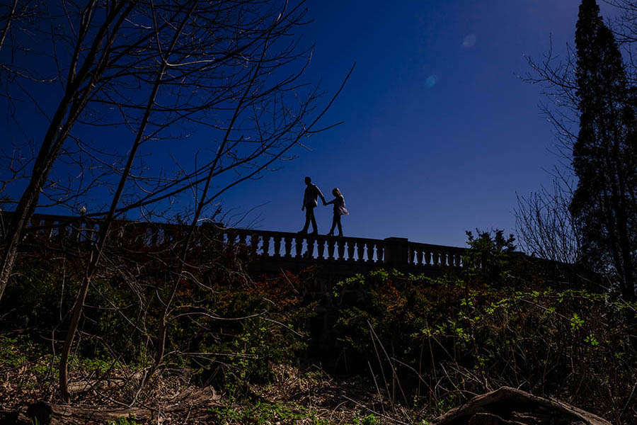 Surprise Proposal, Mount Royal, Montreal – Kyle & Carly